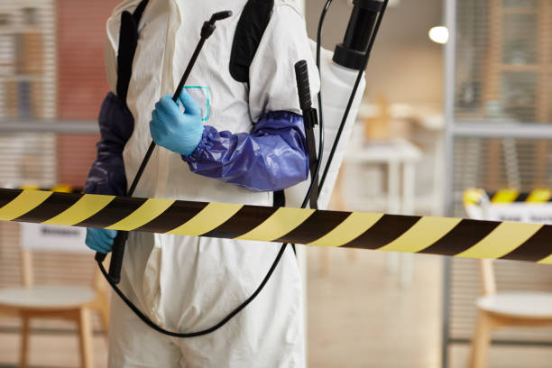 Professional Blood Cleanup technician working in Canal Point, FL